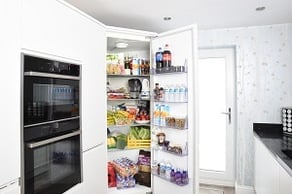 Fridge 300