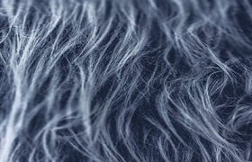 Fur.jpg