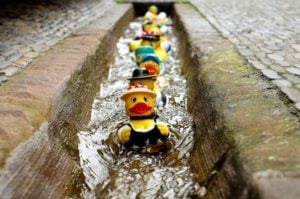Regulatory Compliance Toys
