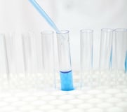 biology-316571_1280