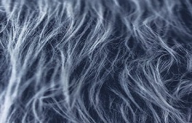How to Label Fur Products for the Eurasian Economic Union