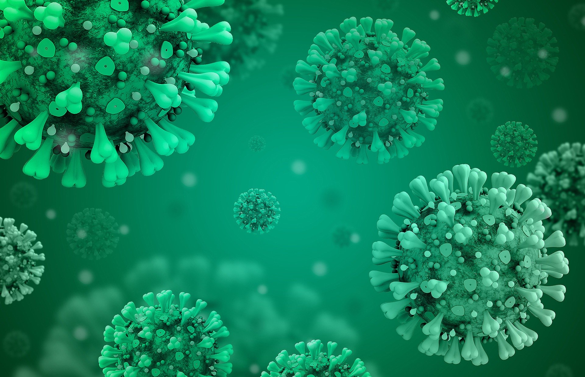 COVID-19 Regulatory Developments: Update 17